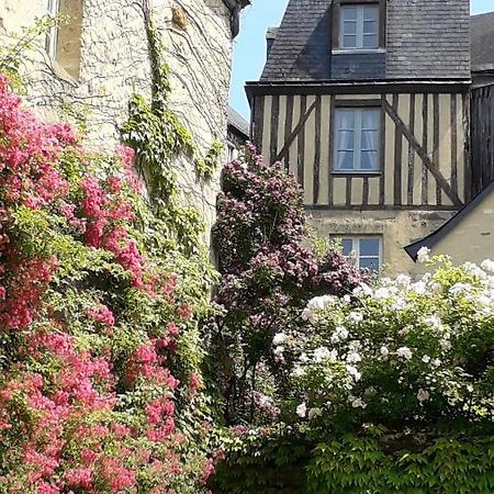 Petite Maison Romantique Au Calme, Coeur Historique Plantagenet, Vue Ville Le Mans Esterno foto