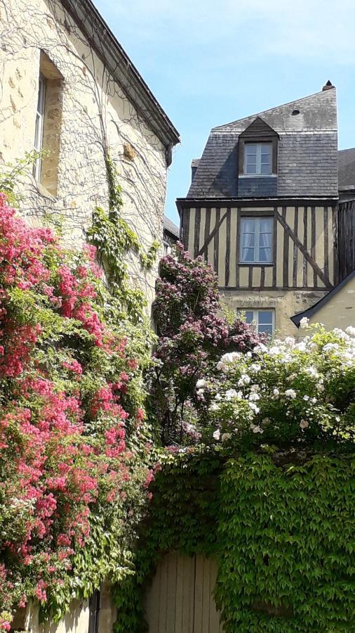 Petite Maison Romantique Au Calme, Coeur Historique Plantagenet, Vue Ville Le Mans Esterno foto