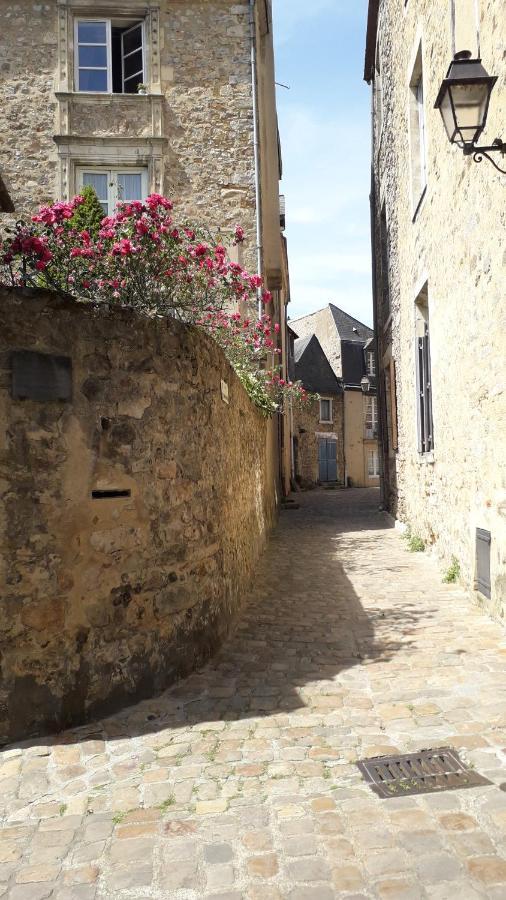 Petite Maison Romantique Au Calme, Coeur Historique Plantagenet, Vue Ville Le Mans Esterno foto